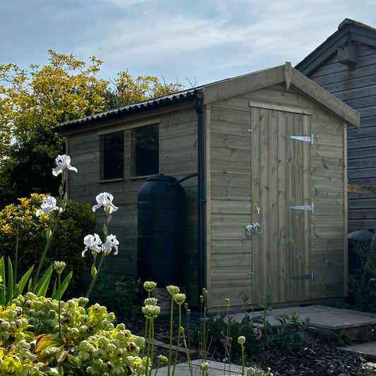 6x8 custom shed with a single door, double windows and a onduline roof.