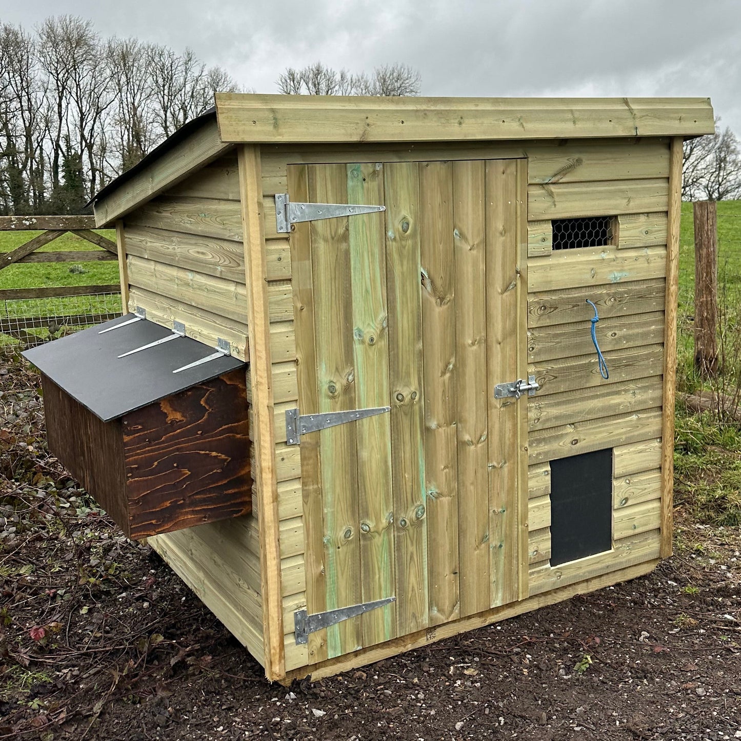 chicken coop for up to 15 chickens
