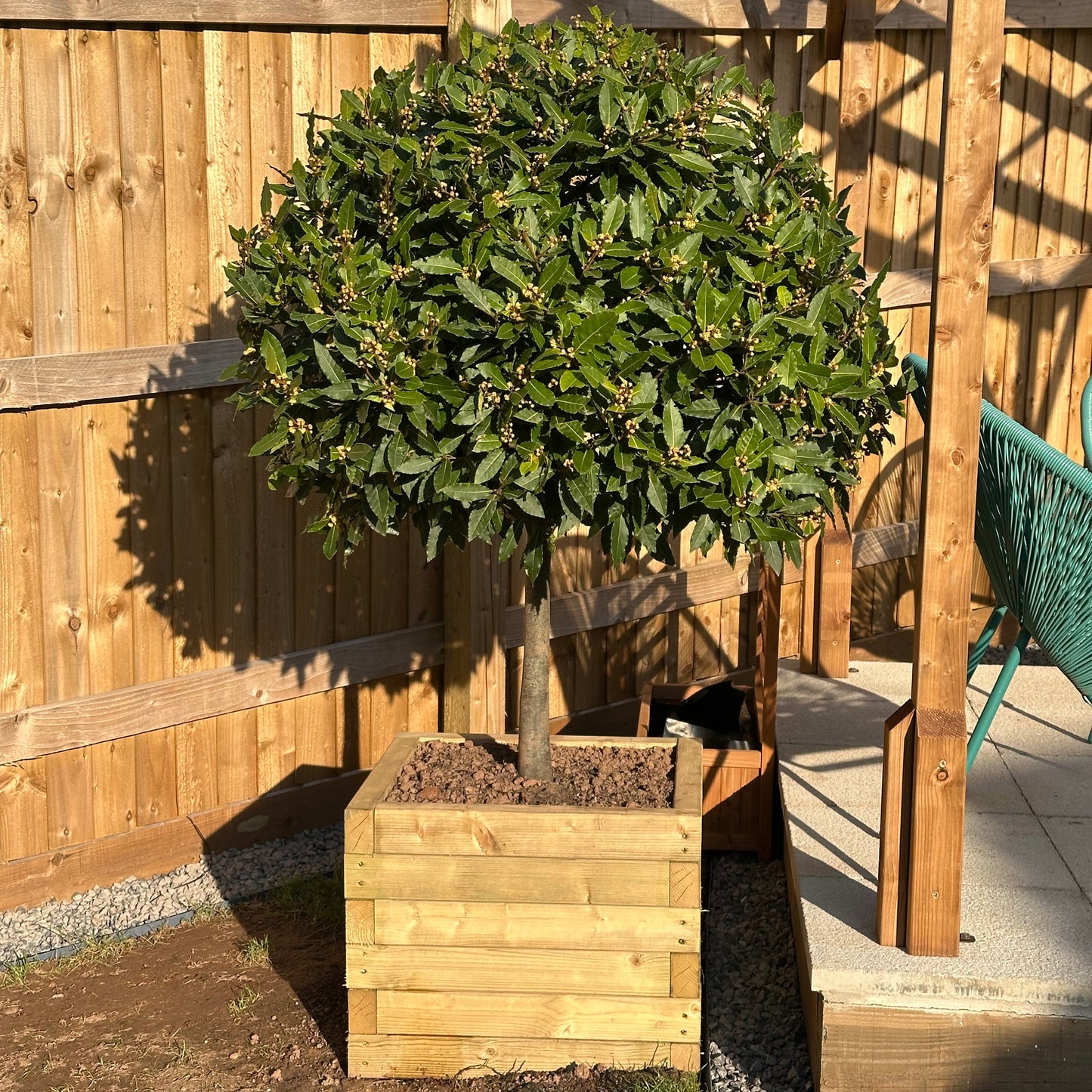 Timber Planter