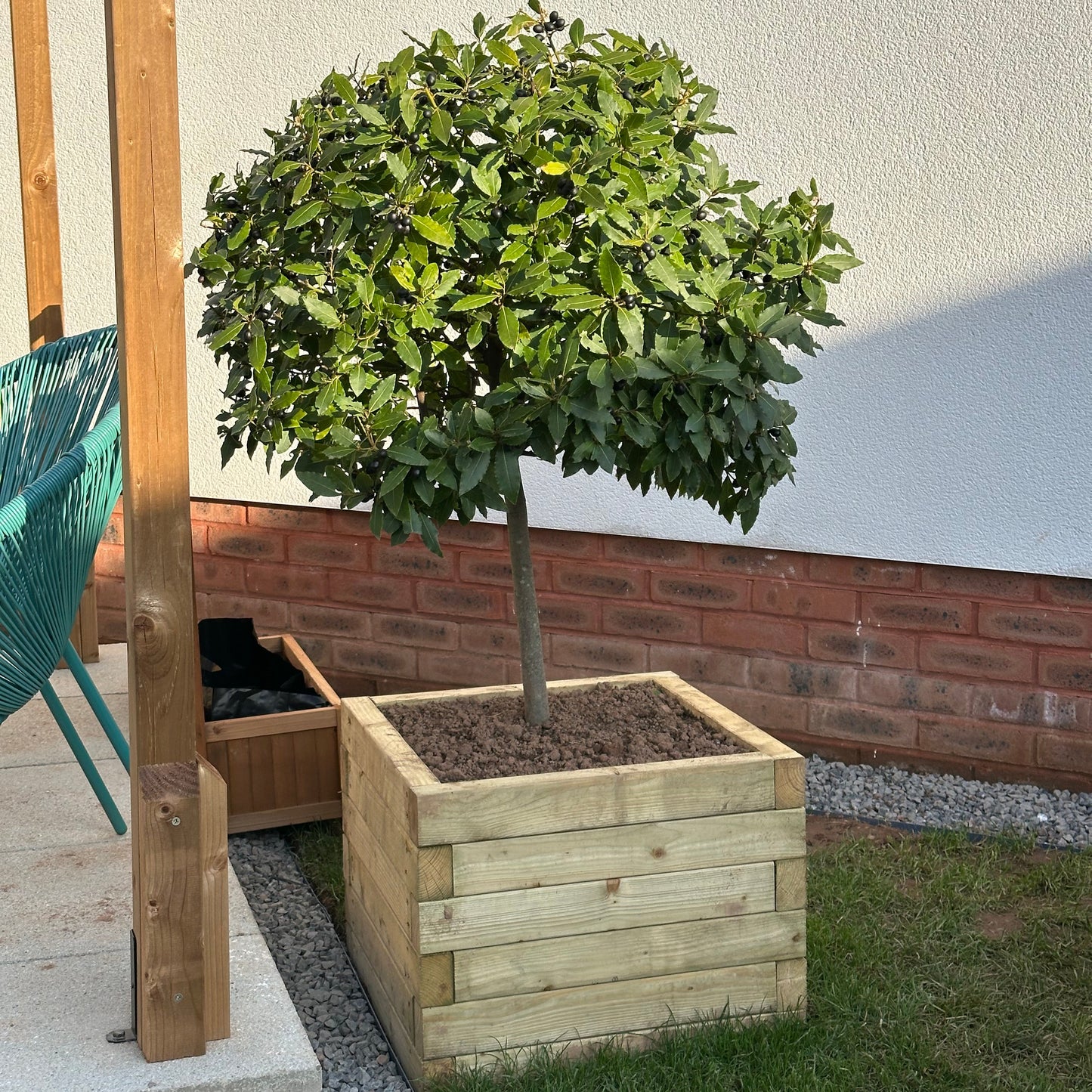 Timber Planter